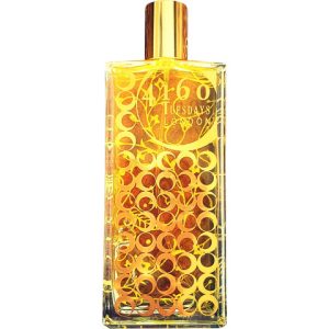 Burnt Cedar Rainbow Doves   for Unisex