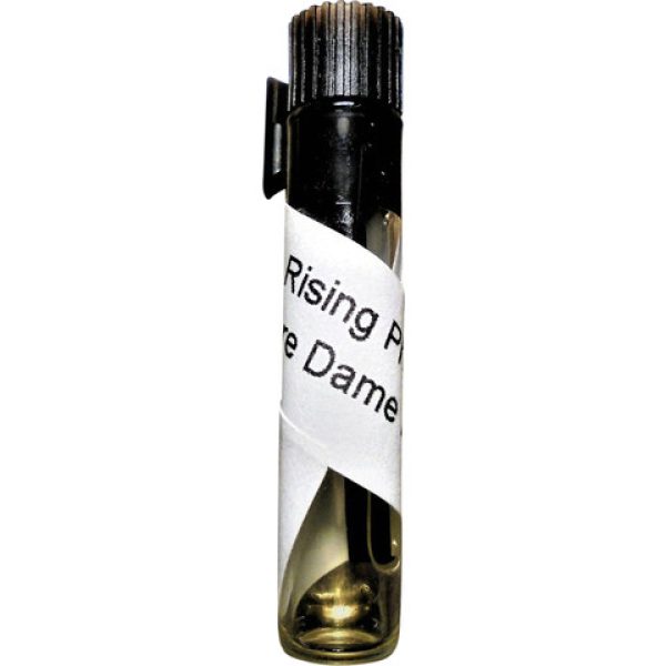 Notre Dame Fumee   for Unisex