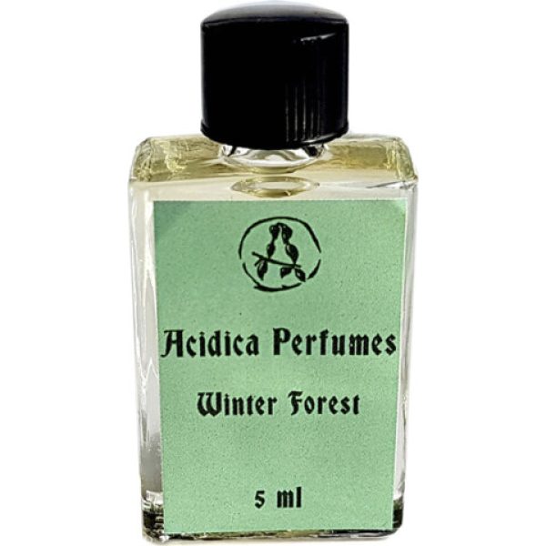 Winter Forest   for