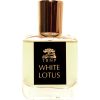 White Lotus
 for