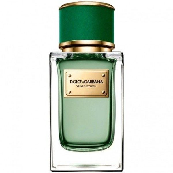 Velvet Cypress   for Men