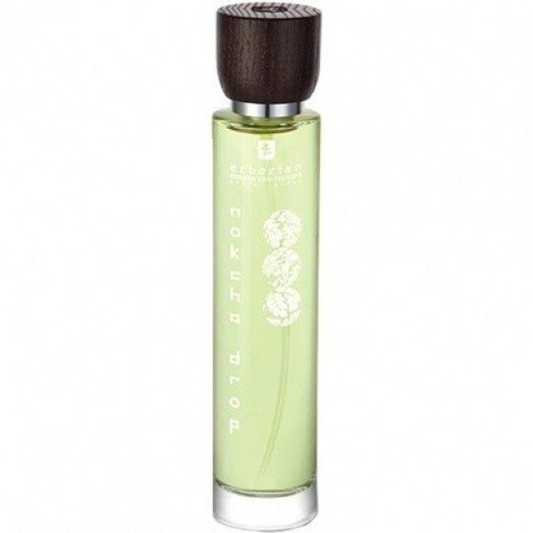 Nokcha Drop   for Women