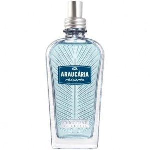 Araucária Nascente   for Men