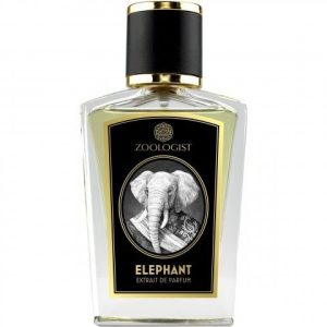 Elephant   for Unisex