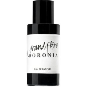 Boronia   for Unisex