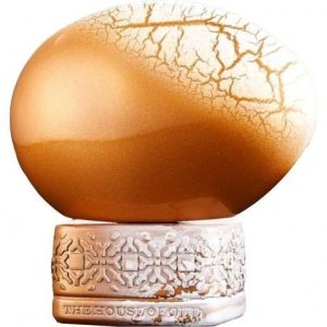 Wonderly   for Unisex