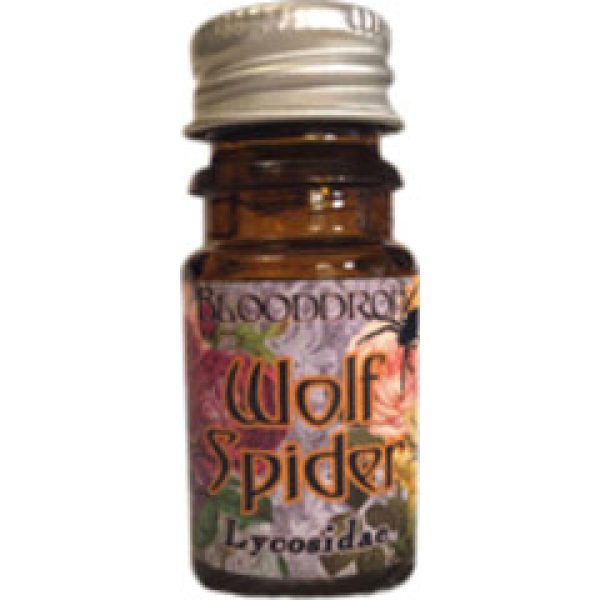 Wolf Spider   for Unisex