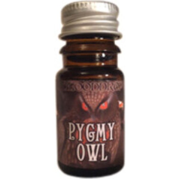 Pygmy Owl   for Unisex