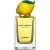 Fruit Collection – Lemon