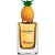 Fruit Collection – Pineapple