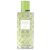 عطر كوتش فريزيا سبلاش