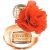 عطر كوتش كوتش بوبي بلوسوم