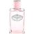 Infusion de Rose