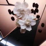 The new composition of Black Opium Floral Shock