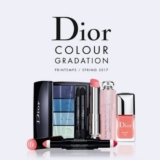 Look Dior Color Gradation