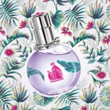 Eclat d’Arpège Tropical Flower