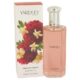 English Dahlia by Yardley London