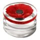 Kenzo Flower in the Air Eau de Parfum