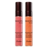 Guerlain – Terracotta Blush 2012