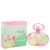 Incanto Amity by Salvatore Ferragamo