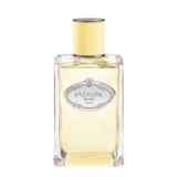 Prada – Mimosa Infusion
