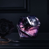 La Nuit Trésor, the love potion of the 21st century