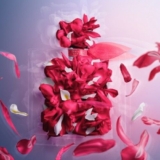 Lancôme’s new La Vie Est Belle Intensément advertisement