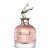 Scandal Jean-Paul Gaultier Eau de Parfum